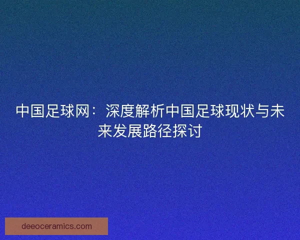 中国足球网：深度解析中国足球现状与未来发展路径探讨
